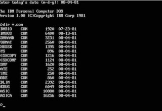 MS DOS Ekranı