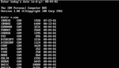 MS DOS Ekranı