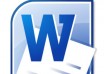 Microsoft Office Word 2007 Logo